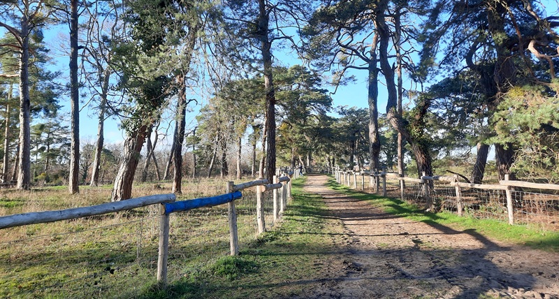 Kindergeburtstag  sandhausen