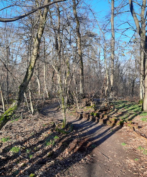 Kindergeburtstag Sandhausen