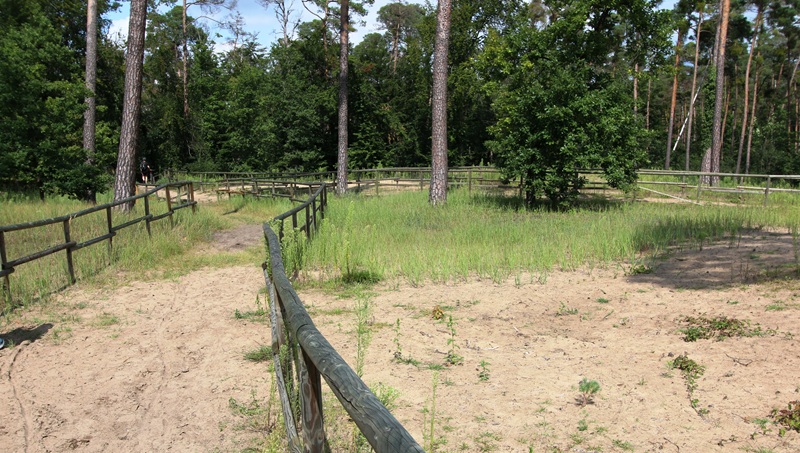Kindergeburtstag walldorf