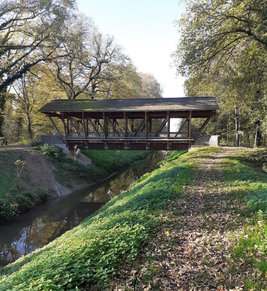Kindergeburtstag Walldorf