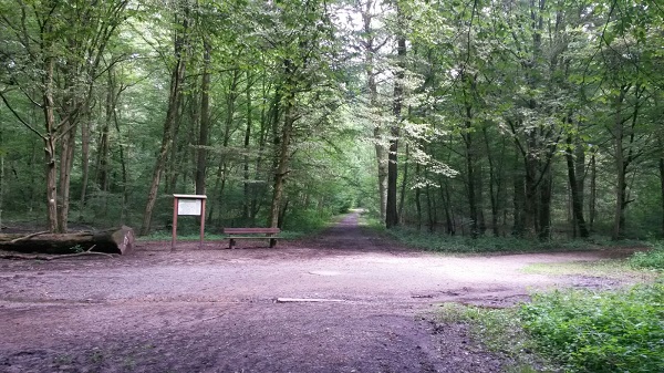 Kindergeburtstag wiesloch